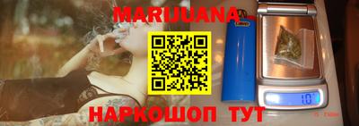 гидра Нальчик