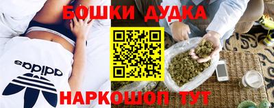 гидра Нальчик